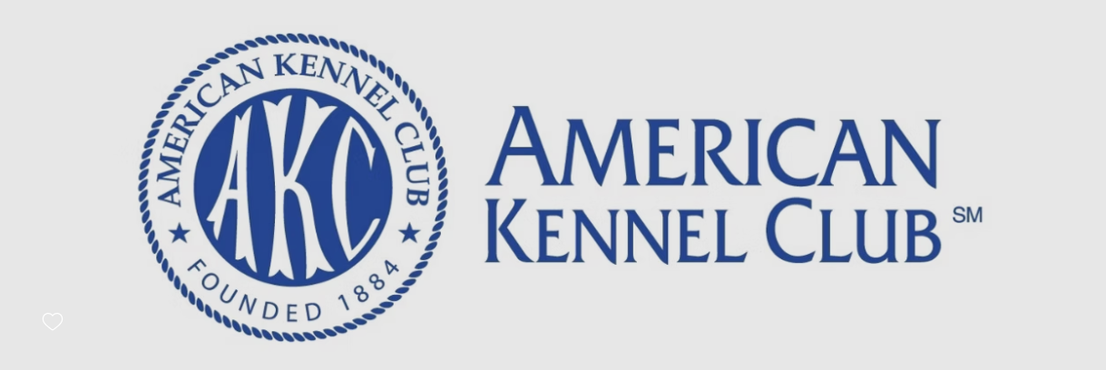 Embark Sage Meadow English Cream Golden Retrievers. American kennel Club Certified